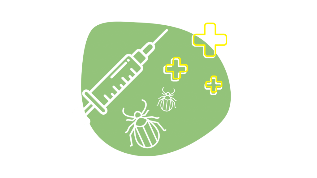 Dieses Bild zeigt eine Grafik zur Leistung: Gesundheitsprophylaxe und Beratung.